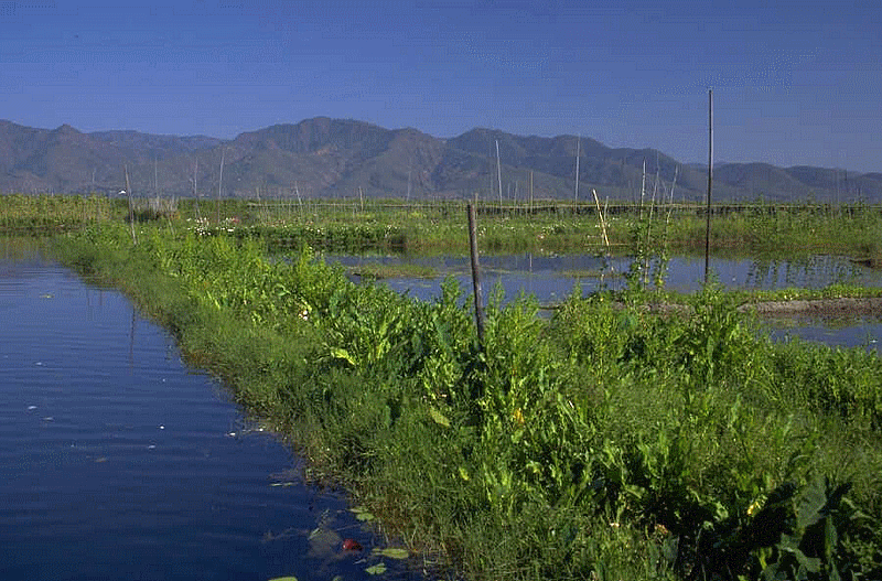 water_pollution_sustainable_development_potable_trinkwasser_africa_india_bengladesh_desert_drought_scheresse